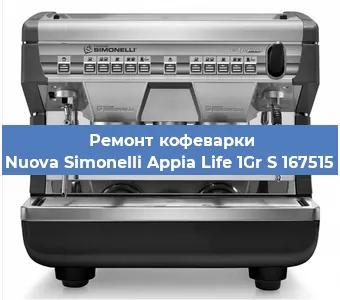 Чистка кофемашины Nuova Simonelli Appia Life 1Gr S 167515 от кофейных масел в Ростове-на-Дону